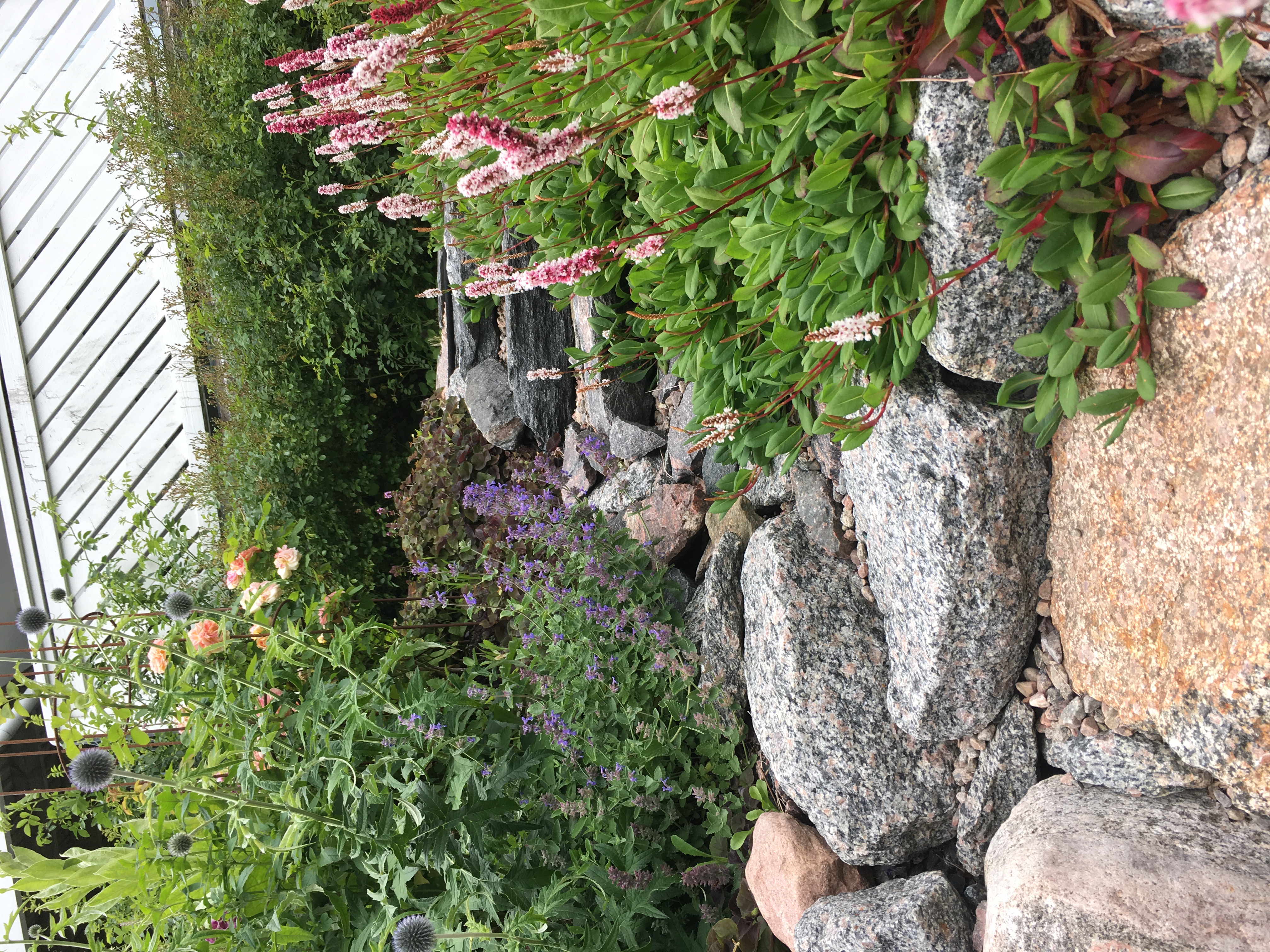 Trappa i natursten